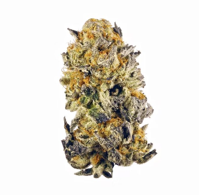 Cherry punch strain